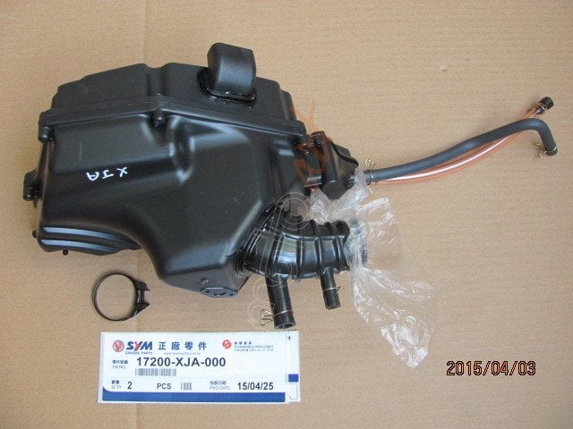 SYM HAVA FILITRESI KOMPLE (FIDDLE 3 200 )  (FDL3200)