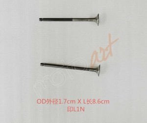 SYM_SUBAP EGSOZ SUBABI EXHAUST VALVE ADET ADX125_DRAGON_MMBCU-&-