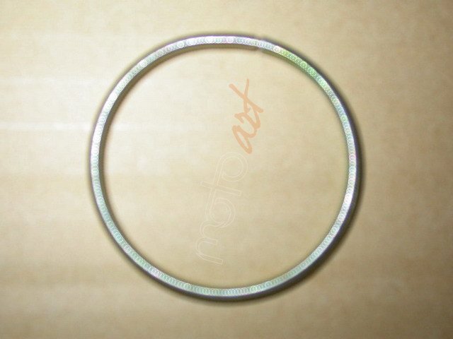 SYM KORUK KECESI JYMX-GTS GTS250