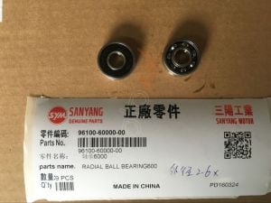 SYM RULMAN 6000 EURO 3 ORJSYM GTS 250