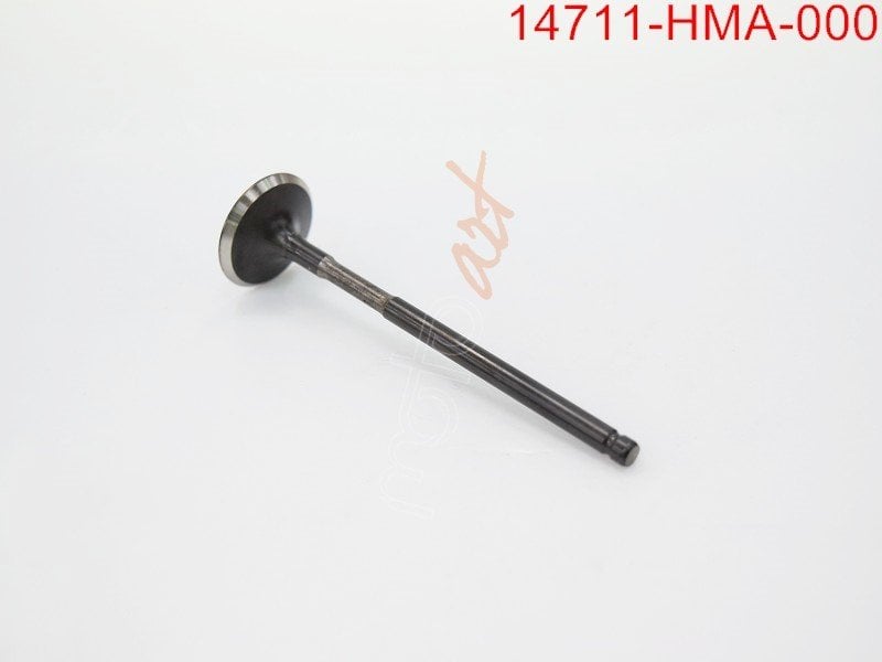 SYM EMME SUBABI JYMX-GTSE-GTS-ATV3-WLF GTS250