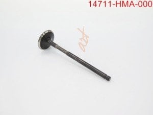 SYM EMME SUBABI JYMX-GTSE-GTS-ATV3-WLF GTS250